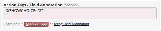 Screenshot of action tag/field annotation section of field editor with syntax